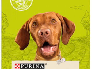 4046_1 DOG CHOW ADULT Jagnięcina 14kg